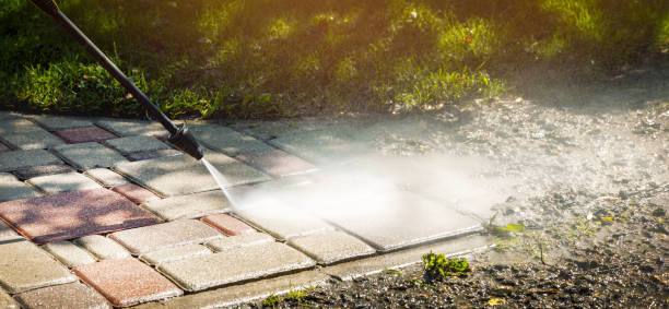 Animal Enclosure Cleaning in Highland On The Lake, NY